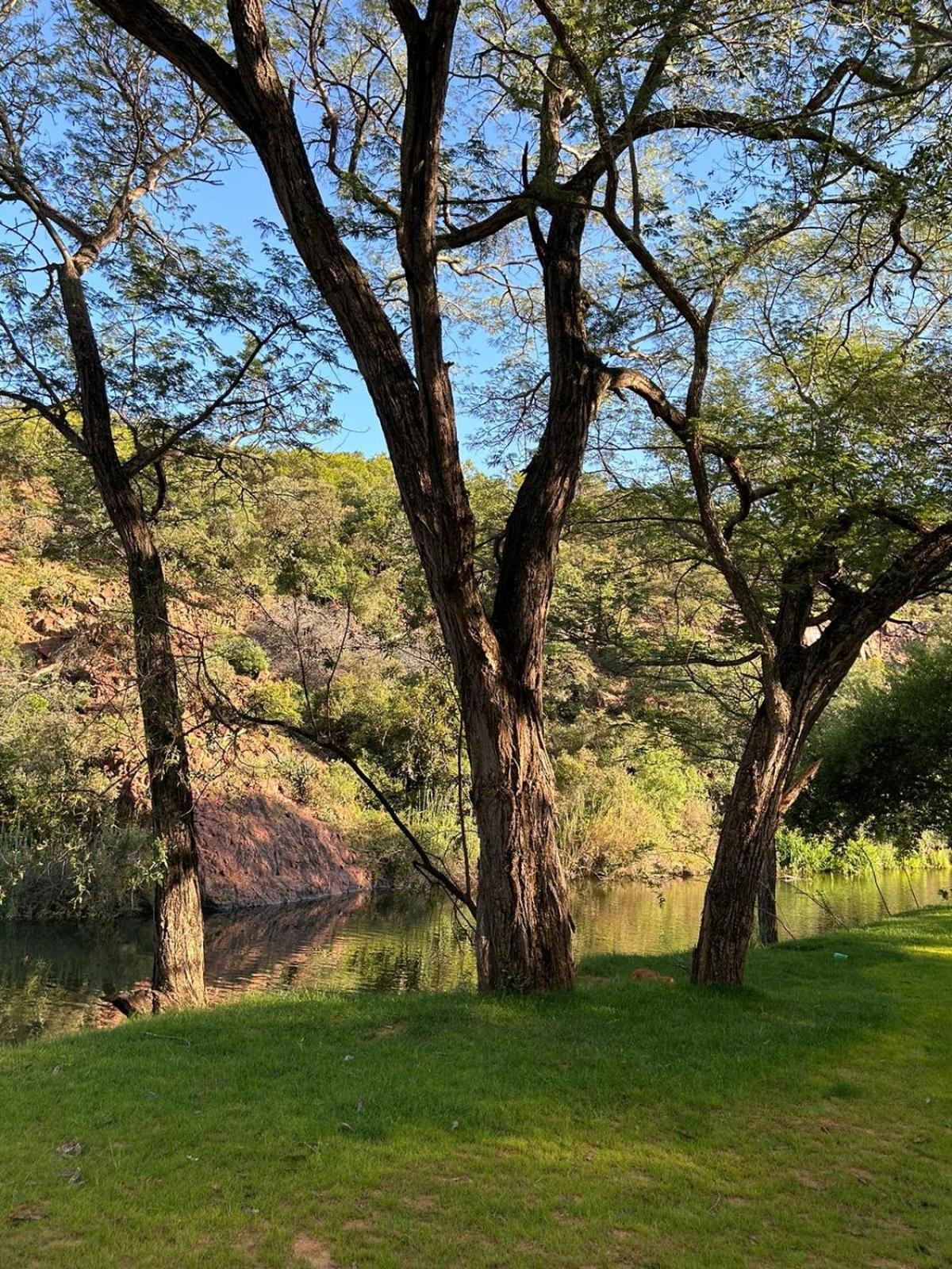 Mologa River Lodge Rust de Winter Extérieur photo