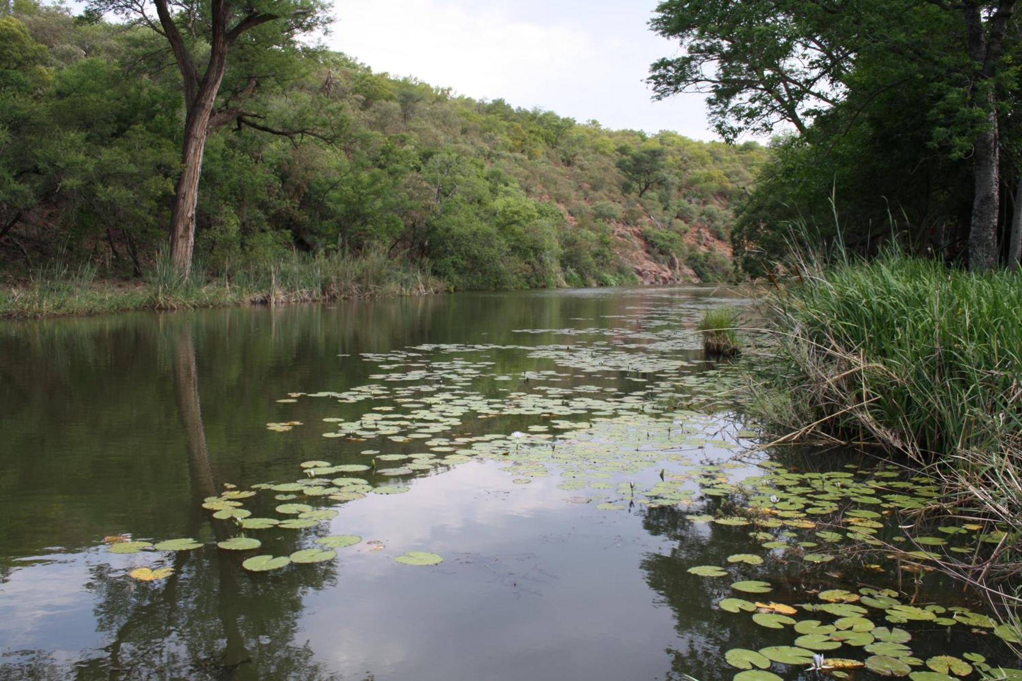 Mologa River Lodge Rust de Winter Extérieur photo